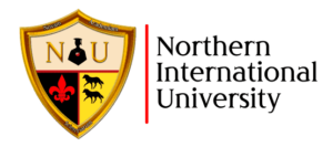 posicionamiento-web-caceres-logotipo-northern-international-university